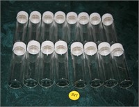 Depyrogenated Glass Containers (16)