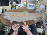 MOUNTED TROUT  BOARD IS 25 LONG FISH IS 22 LONG