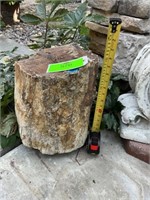 Petrified log