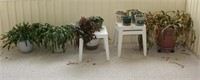 Potted Plants and Containers