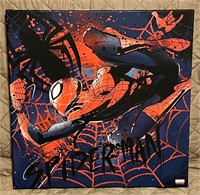 Spider-Man Print on Canvas