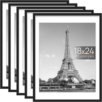 $55 18x24 Picture Frame Set of 5
