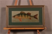 Framed & Matted Perch Print by Unknown Artist,