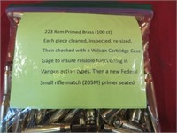 223 Rem Primed Brass 100 pc lot