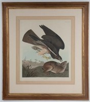 After John James Audubon (American, 1785-1851)