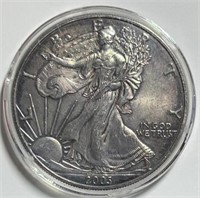 2003 Silver Eagle 1oz Fine Silver in Case Toned