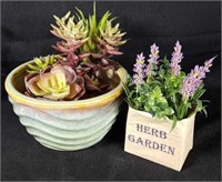 Ceramic Planter & Succulent Plants