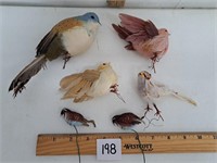 Vintage Feathered Birds