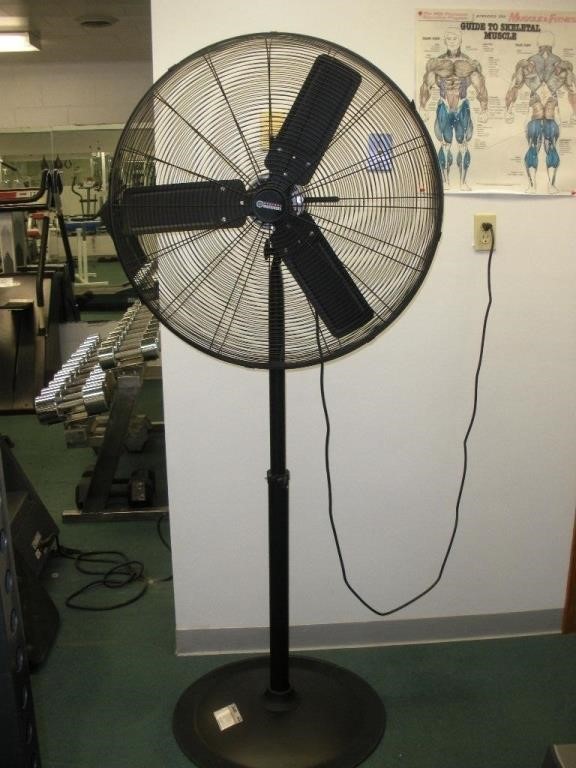 30 inch Pedestal Fan - 3 Speeds, Adjustable Height