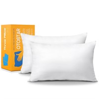 OTOSTAR Pack of 2 Throw Pillow Inserts, 16 x 24