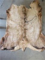 Elk Hide