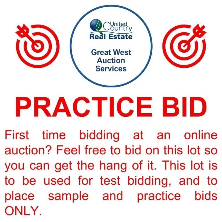 First time bidding at an online auction?