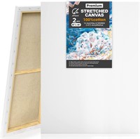 Stretched Canvases 2 Pack 30x48 Inch