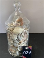 9" Jar of Shells