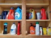 Cupboard Of Cleaning Chemicals