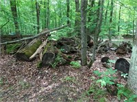 Larger Logs - Buyer will need to bring equipment