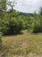 Lot 1 Old Liberty Hill Dr., Morristown, TN 37814