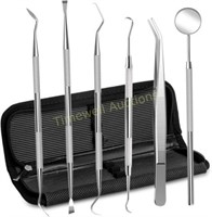 Dental Hygiene Tool Set  Steel (6 Pack)