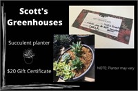 Succulent Planter + $20 Gift Certificate