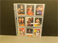 18 Collectible Wrestling Cards