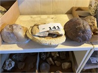 LARGE FOSSIL, ROCK , STONE