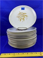 15pc Golden wheat dinner plates