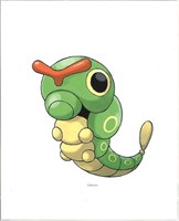 POKEMAN - "CATERPIE" 8 x 10 " Fine Art Giclee -