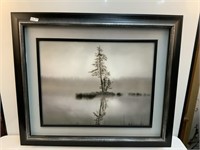 Large Framed Fog/ Nature Photo on Board