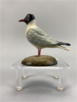 Frank Finney Black-Headed Gull Miniature