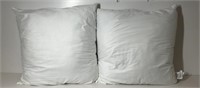 Set of Pottery Barn Throw Pillow Inserts