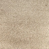 Peak Performance Peel and Stick Carpet Tiles