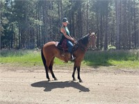 (VIC) REMI - QH MARE