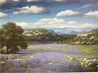 Ronnie Hedge 1995 "Hill Country Horizon" signed