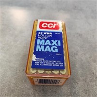 50- 22 magnum hollow point bullets