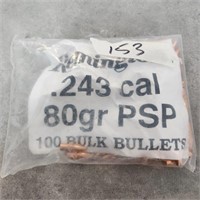 100- .243cal Remington bullet caps