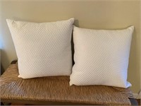 Pair of White Velvety Throw Pillows