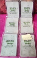 43 - NEW WMC LOT OF 6 SCENTED WAX MELTS (N32)