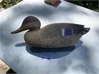 Duck Decoy