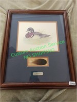 Framed Picture "Wood Duck"