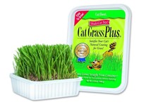 Cat-A bout Cat Grass, 5.25 oz, For Indoor Cats
