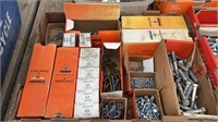 Assortment of Screws and Bolts