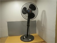 Fan