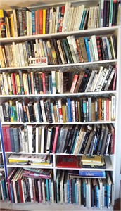 7 shelves books: novels, art, foreign, India,
