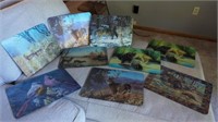 WILDLIFE TEMPERED GLASS CUTTING BOARDS