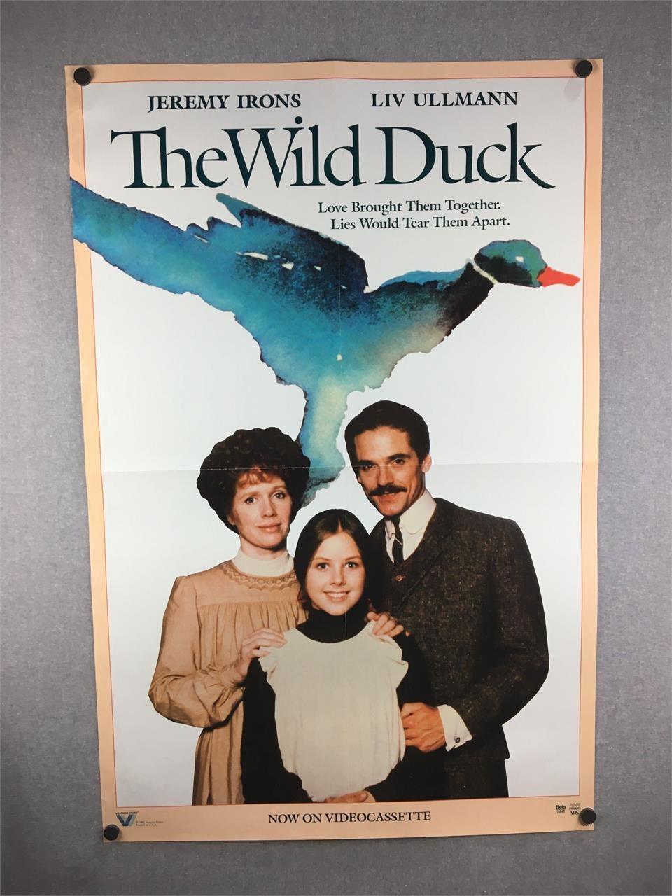 Vintage 1985 The Wild Duck Movie Poster