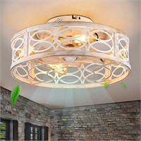 HUEOCZW 20 Caged Ceiling Fan with Light