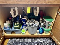 Cleaning Supplies Under Kitchen Sink