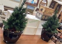 Great pair of small lighted pines in glazed