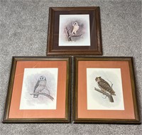 Lot of 3 Large Framed E. Rambow Owl Artworks