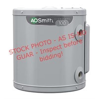 AO Smith Signature 100 19Gal Electric Water Heater